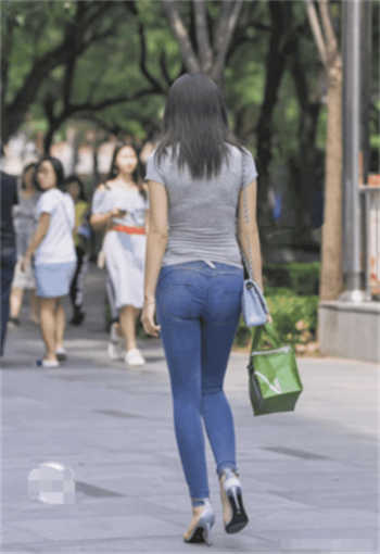 565t凤蝶在线观看