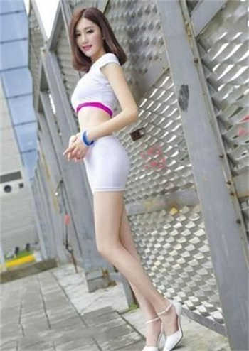 女巫的猫为什么不写了
