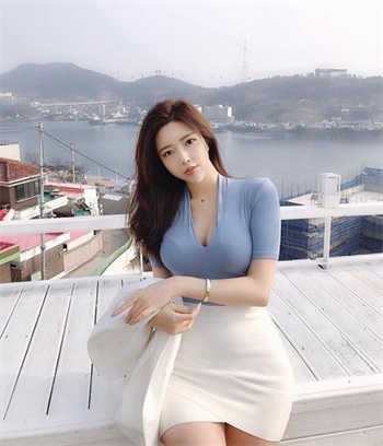 上门龙婿叶辰完整目录