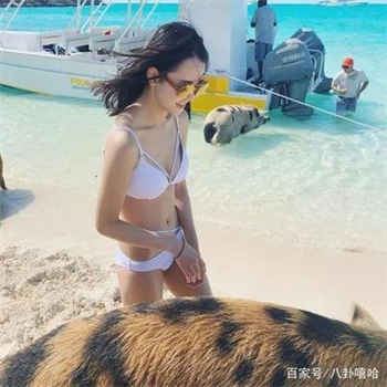 大陆能看twitch tv吗