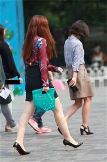车牌号和女主