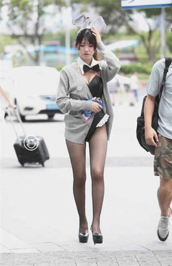 女兽医的秘密未删减版