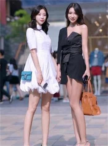 小粉猪西萌