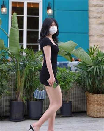 猫咪旧版百度网盘下载