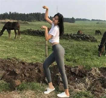 500个免费视频素材