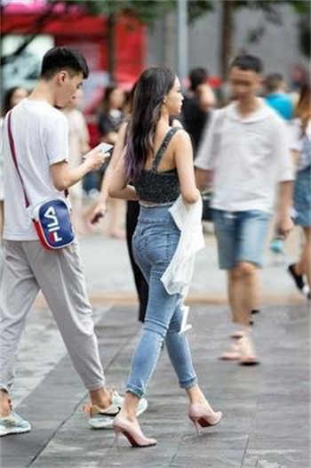 四叶草不用下载免费入口